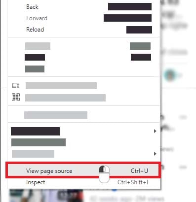 Select View page source